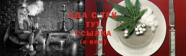 ECSTASY Бородино