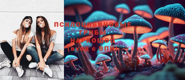 стафф Медвежьегорск