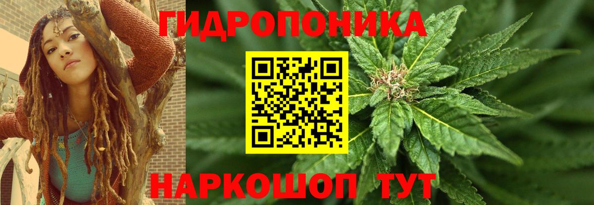 Бошки марихуана SATIVA & INDICA  Конопля SATIVA & INDICA  Марихуана планчик  Салават  Канабис планчик  Вход с VPN 